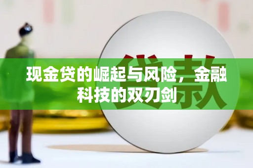南涧现金贷的崛起与风险，金融科技的双刃剑