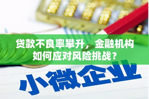 南涧贷款不良率攀升，金融机构如何应对风险挑战？
