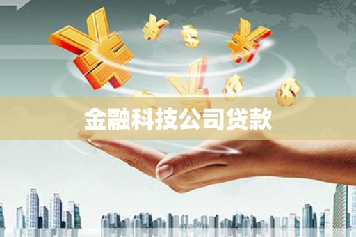 南涧金融科技公司贷款