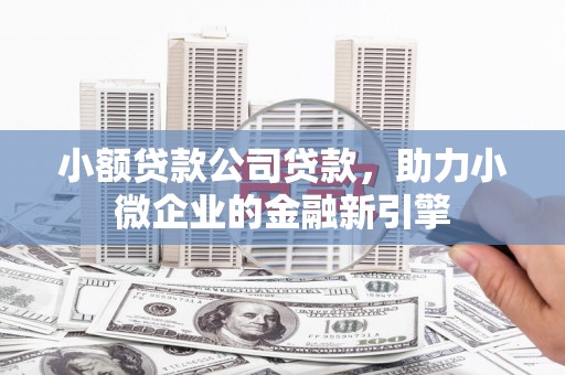 南涧小额贷款公司贷款，助力小微企业的金融新引擎