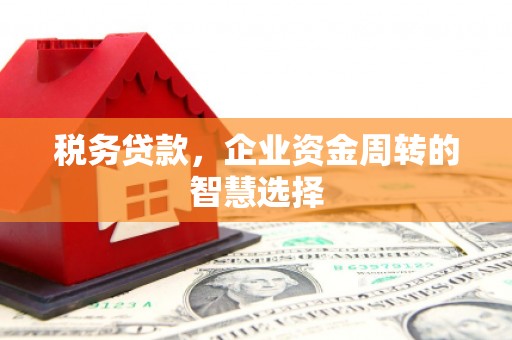 南涧税务贷款，企业资金周转的智慧选择