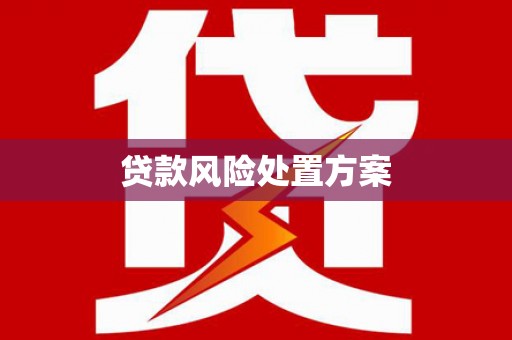 南涧贷款风险处置方案