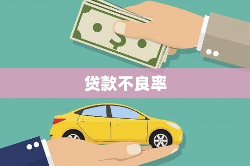 南涧贷款不良率