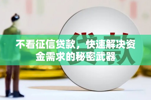 南涧不看征信贷款，快速解决资金需求的秘密武器