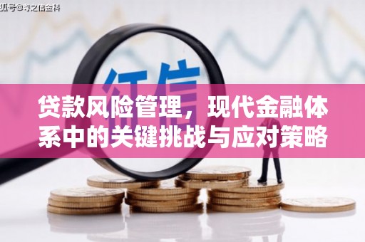 南涧贷款风险管理，现代金融体系中的关键挑战与应对策略