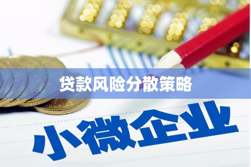 南涧贷款风险分散策略