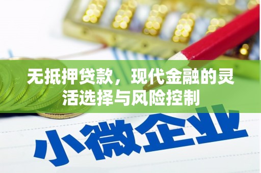 南涧无抵押贷款，现代金融的灵活选择与风险控制