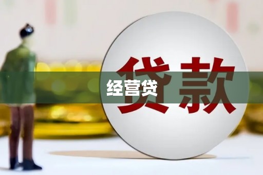 南涧经营贷