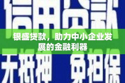 南涧银盛贷款，助力中小企业发展的金融利器