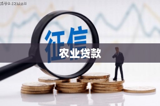 南涧农业贷款