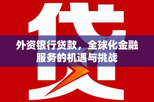 南涧外资银行贷款，全球化金融服务的机遇与挑战