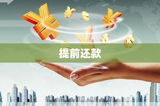 南涧提前还款