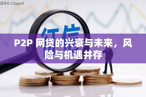 南涧P2P 网贷的兴衰与未来，风险与机遇并存