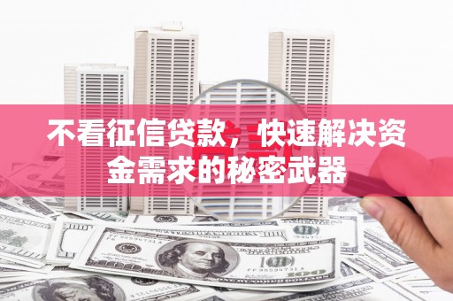 南涧不看征信贷款，快速解决资金需求的秘密武器