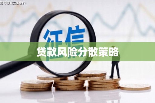 南涧贷款风险分散策略