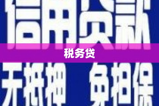 南涧税务贷