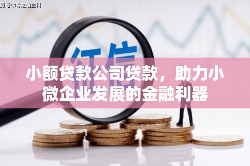 南涧小额贷款公司贷款，助力小微企业发展的金融利器