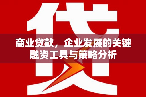 南涧商业贷款，企业发展的关键融资工具与策略分析