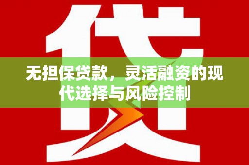 南涧无担保贷款，灵活融资的现代选择与风险控制