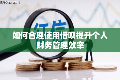 南涧如何合理使用借呗提升个人财务管理效率