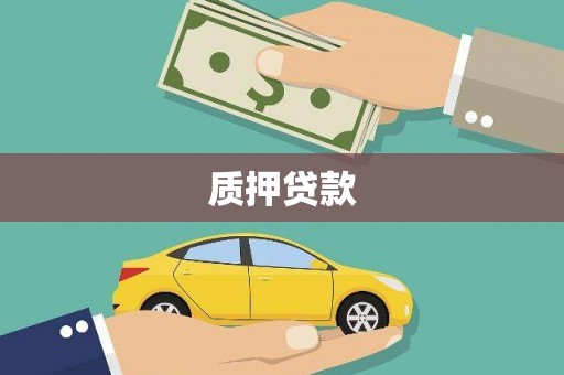 南涧质押贷款