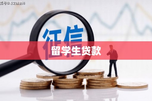 南涧留学生贷款