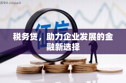南涧税务贷，助力企业发展的金融新选择