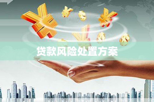 南涧贷款风险处置方案