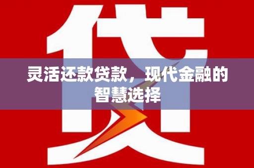 南涧灵活还款贷款，现代金融的智慧选择