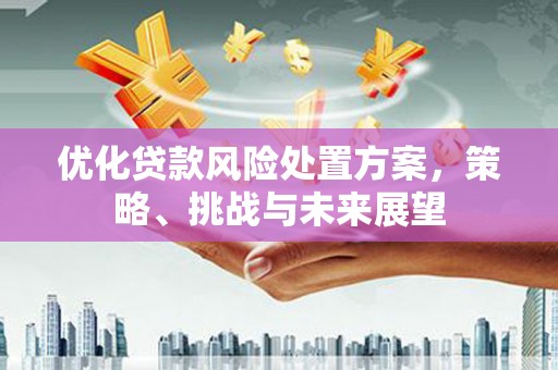 南涧优化贷款风险处置方案，策略、挑战与未来展望
