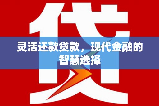 南涧灵活还款贷款，现代金融的智慧选择