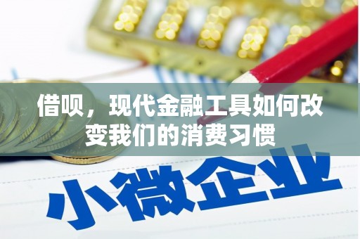 南涧借呗，现代金融工具如何改变我们的消费习惯