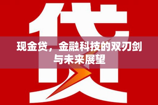 南涧现金贷，金融科技的双刃剑与未来展望