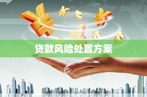 南涧贷款风险处置方案