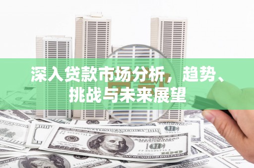 南涧深入贷款市场分析，趋势、挑战与未来展望