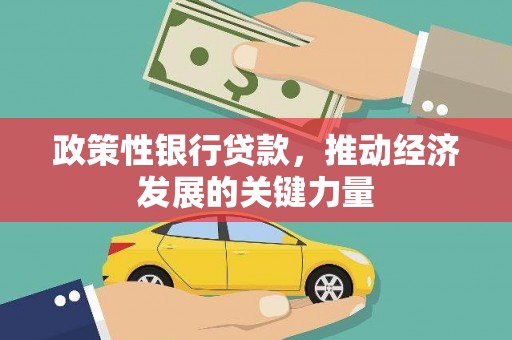 南涧政策性银行贷款，推动经济发展的关键力量