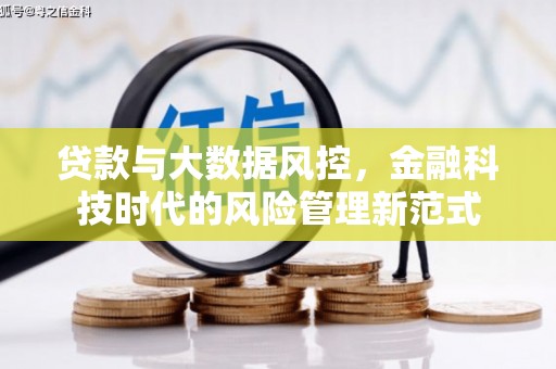 南涧贷款与大数据风控，金融科技时代的风险管理新范式