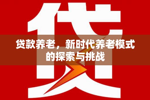 南涧贷款养老，新时代养老模式的探索与挑战