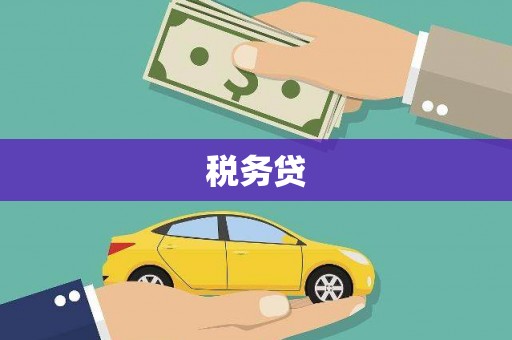 南涧税务贷