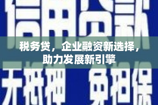 南涧税务贷，企业融资新选择，助力发展新引擎