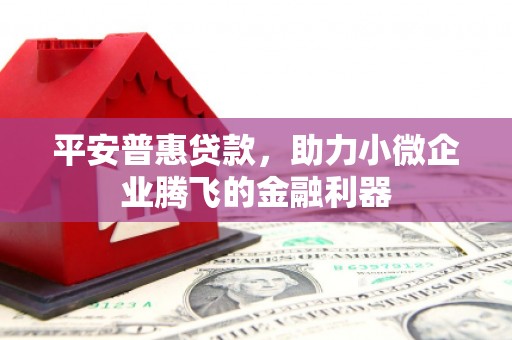 南涧平安普惠贷款，助力小微企业腾飞的金融利器