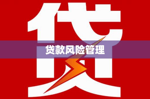 南涧贷款风险管理