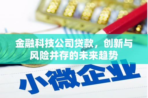 南涧金融科技公司贷款，创新与风险并存的未来趋势