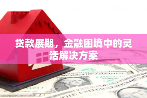 南涧贷款展期，金融困境中的灵活解决方案