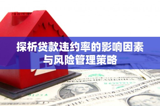 南涧探析贷款违约率的影响因素与风险管理策略