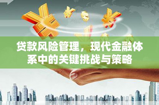 南涧贷款风险管理，现代金融体系中的关键挑战与策略