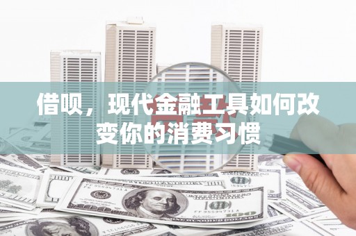 南涧借呗，现代金融工具如何改变你的消费习惯