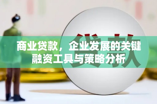 南涧商业贷款，企业发展的关键融资工具与策略分析