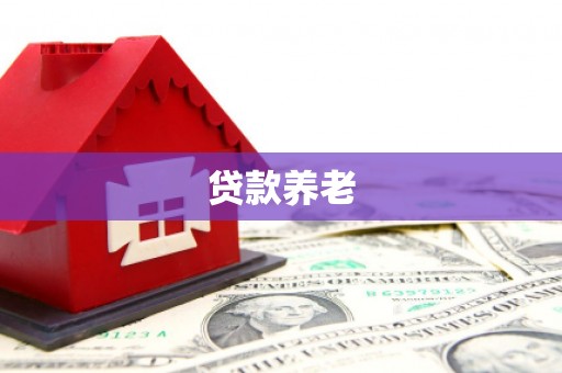 南涧贷款养老