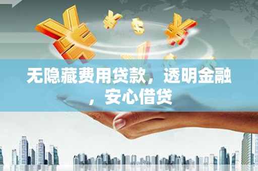 南涧无隐藏费用贷款，透明金融，安心借贷